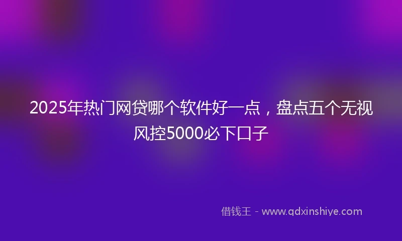 2025年热门网贷哪个软件好一点，盘点五个无视风控5000必下口子