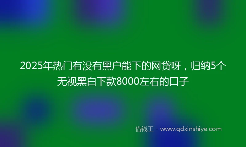 2025年热门有没有黑户能下的网贷呀，归纳5个无视黑白下款8000左右的口子