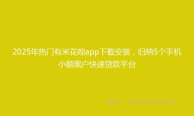 2025年热门有米花呗app下载安装，归纳5个手机小额黑户快速贷款平台