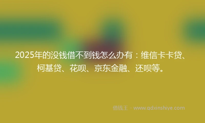 2025年的没钱借不到钱怎么办有：维信卡卡贷、柯基贷、花呗、京东金融、还呗等。