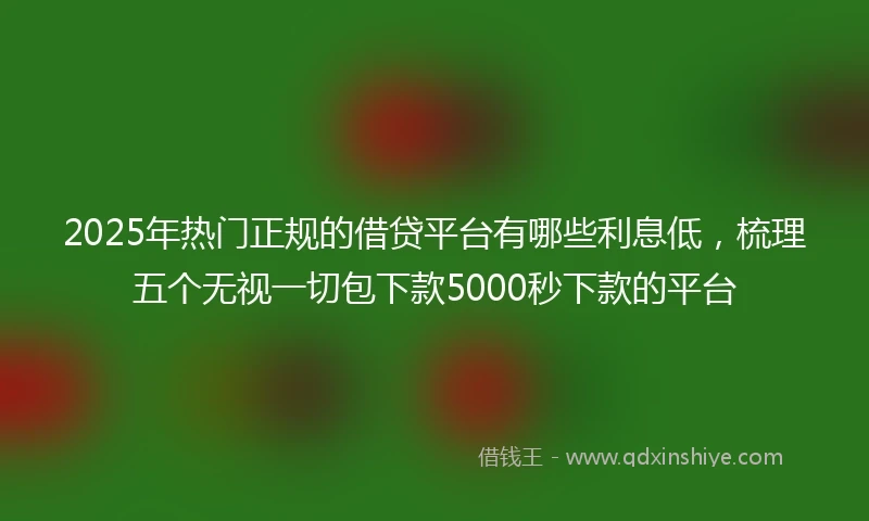 2025年热门正规的借贷平台有哪些利息低，梳理五个无视一切包下款5000秒下款的平台