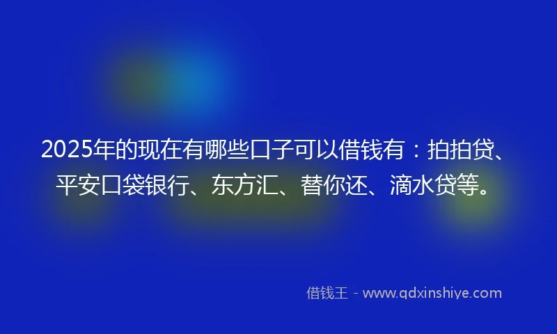 2025年的现在有哪些口子可以借钱有：拍拍贷、平安口袋银行、东方汇、替你还、滴水贷等。