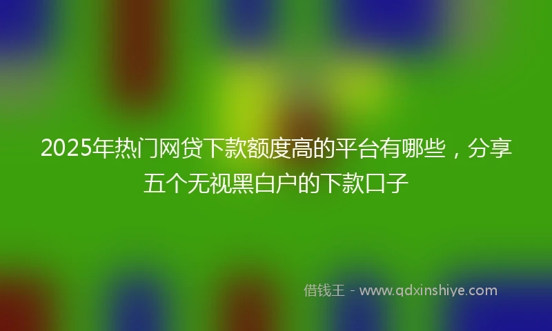 2025年热门网贷下款额度高的平台有哪些，分享五个无视黑白户的下款口子