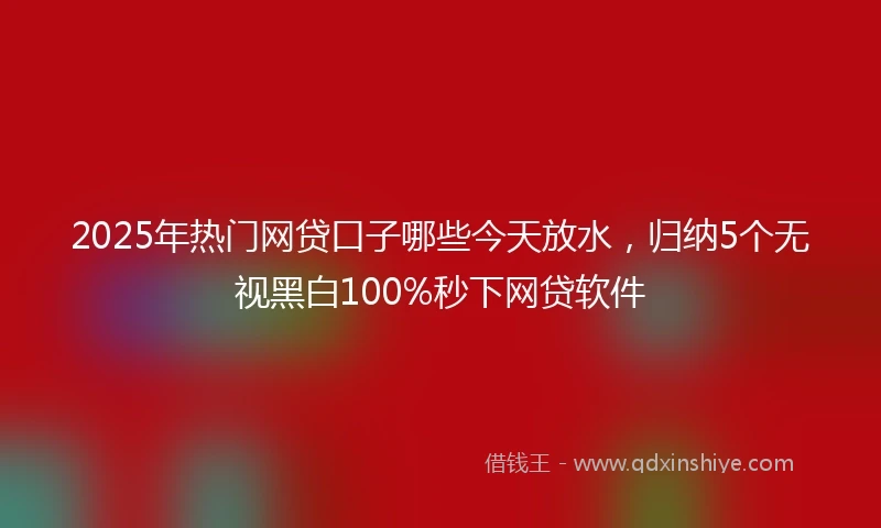 2025年热门网贷口子哪些今天放水，归纳5个无视黑白100%秒下网贷软件