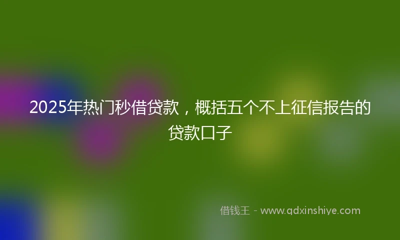 2025年热门秒借贷款，概括五个不上征信报告的贷款口子