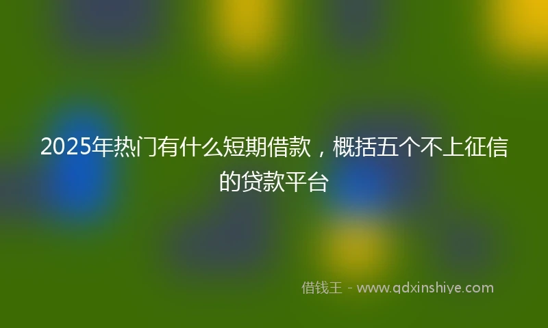 2025年热门有什么短期借款，概括五个不上征信的贷款平台