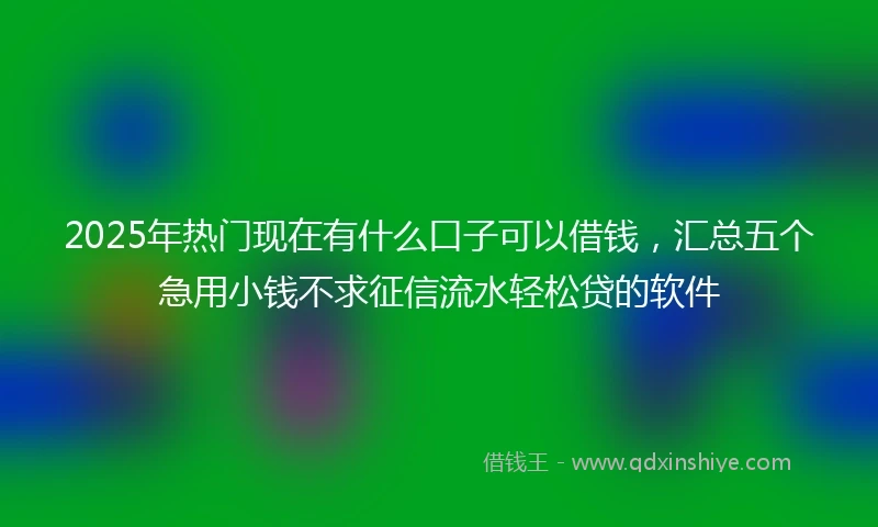 2025年热门现在有什么口子可以借钱，汇总五个急用小钱不求征信流水轻松贷的软件