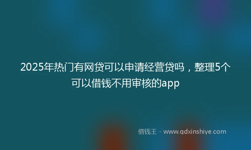 2025年热门有网贷可以申请经营贷吗，整理5个可以借钱不用审核的app