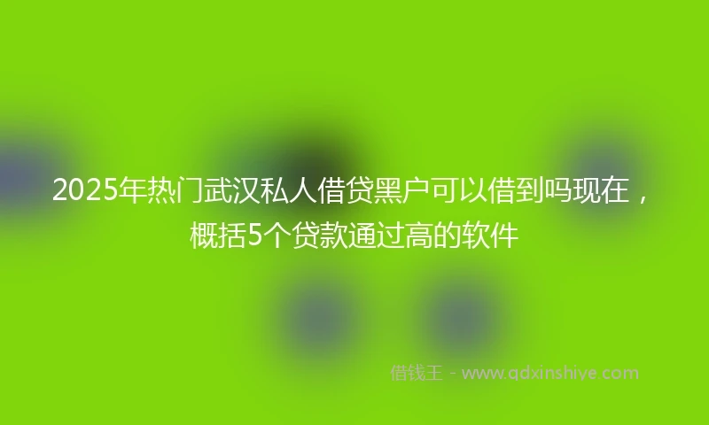 2025年热门武汉私人借贷黑户可以借到吗现在，概括5个贷款通过高的软件