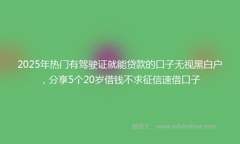 2025年热门有驾驶证就能贷款的口子无视黑白户，分享5个20岁借钱不求征信速借口子