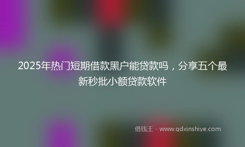 2025年热门短期借款黑户能贷款吗，分享五个最新秒批小额贷款软件