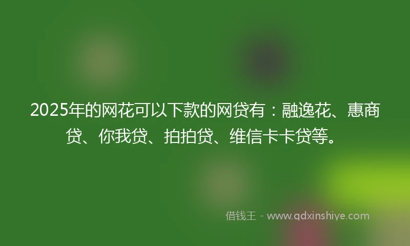 2025年的网花可以下款的网贷有：融逸花、惠商贷、你我贷、拍拍贷、维信卡卡贷等。