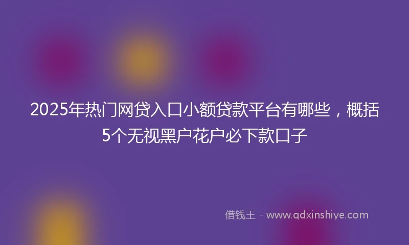 2025年热门网贷入口小额贷款平台有哪些，概括5个无视黑户花户必下款口子