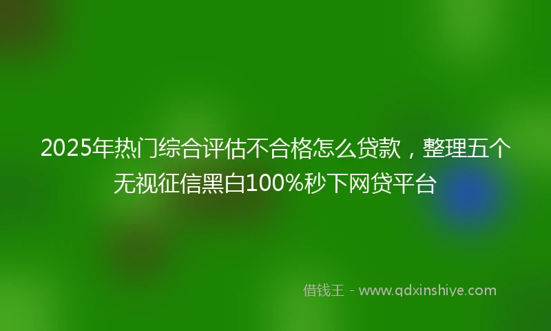 2025年热门综合评估不合格怎么贷款，整理五个无视征信黑白100%秒下网贷平台