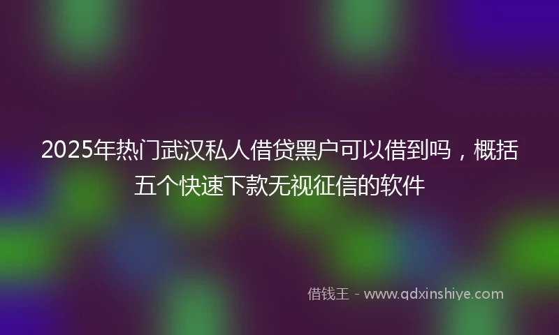 2025年热门武汉私人借贷黑户可以借到吗，概括五个快速下款无视征信的软件