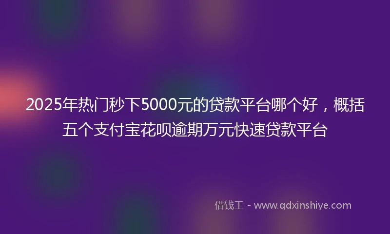 2025年热门秒下5000元的贷款平台哪个好，概括五个支付宝花呗逾期万元快速贷款平台