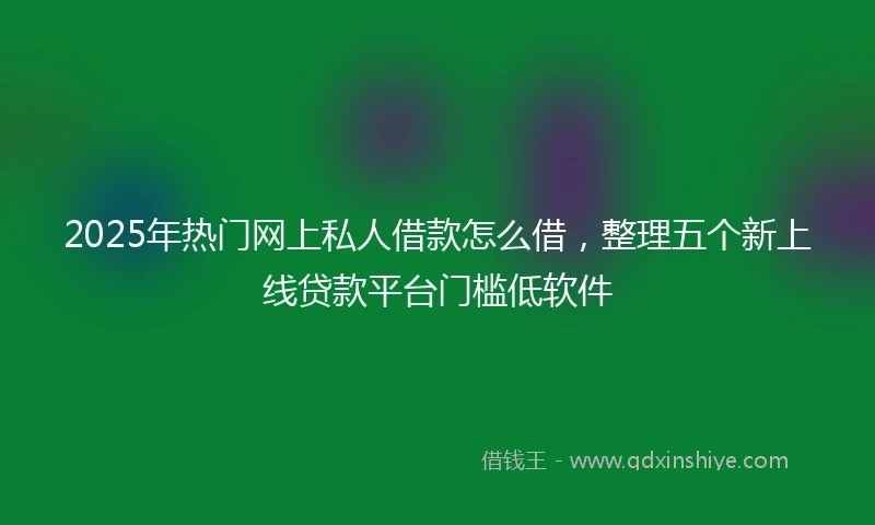 2025年热门网上私人借款怎么借，整理五个新上线贷款平台门槛低软件