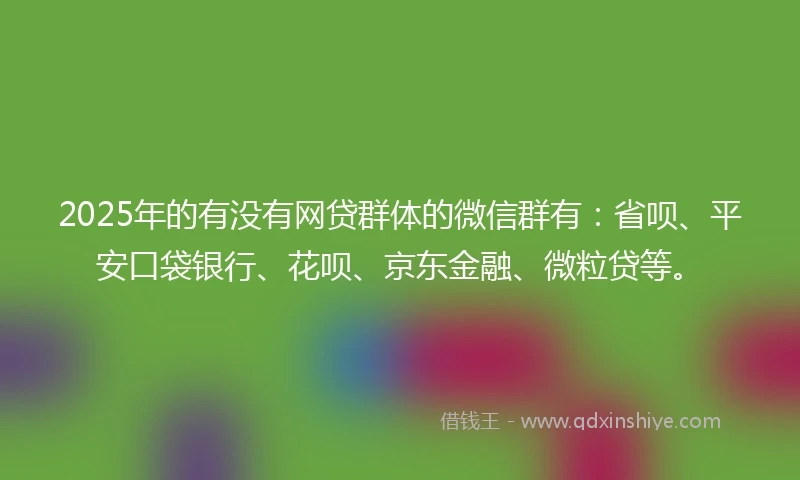 2025年的有没有网贷群体的微信群有：省呗、平安口袋银行、花呗、京东金融、微粒贷等。