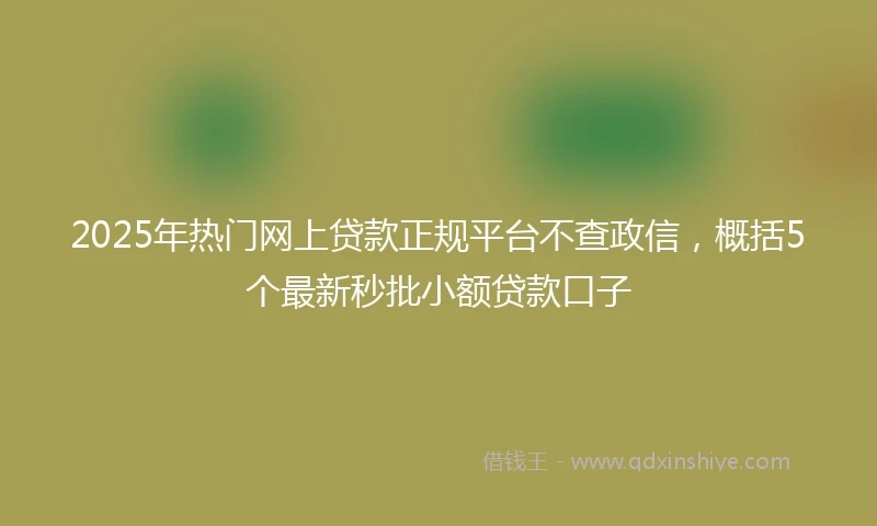 2025年热门网上贷款正规平台不查政信，概括5个最新秒批小额贷款口子