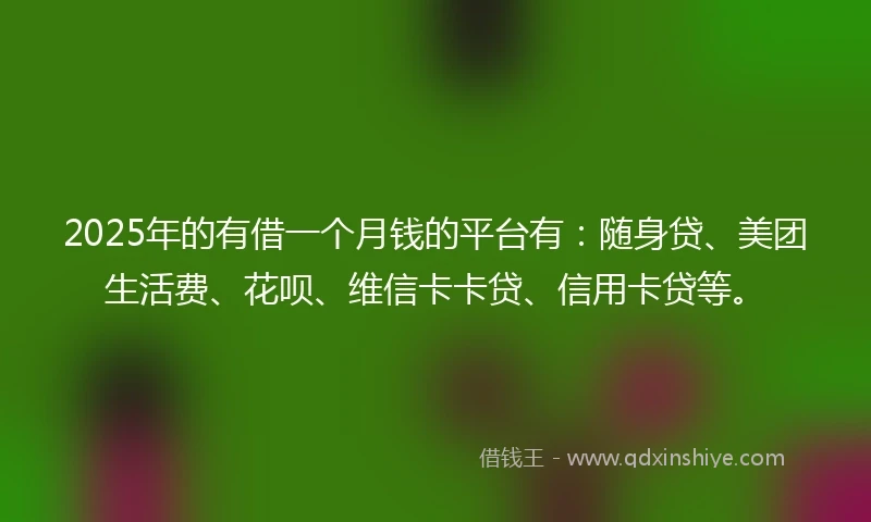 2025年的有借一个月钱的平台有：随身贷、美团生活费、花呗、维信卡卡贷、信用卡贷等。