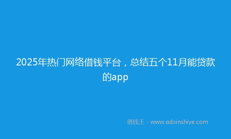 2025年热门网络借钱平台，总结五个11月能贷款的app