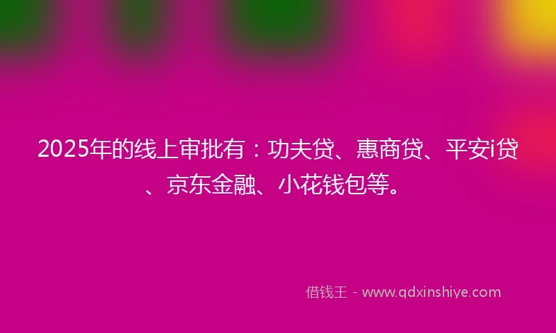 2025年的线上审批有：功夫贷、惠商贷、平安i贷、京东金融、小花钱包等。