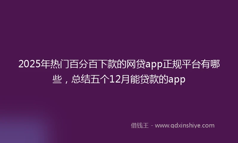 2025年热门百分百下款的网贷app正规平台有哪些，总结五个12月能贷款的app