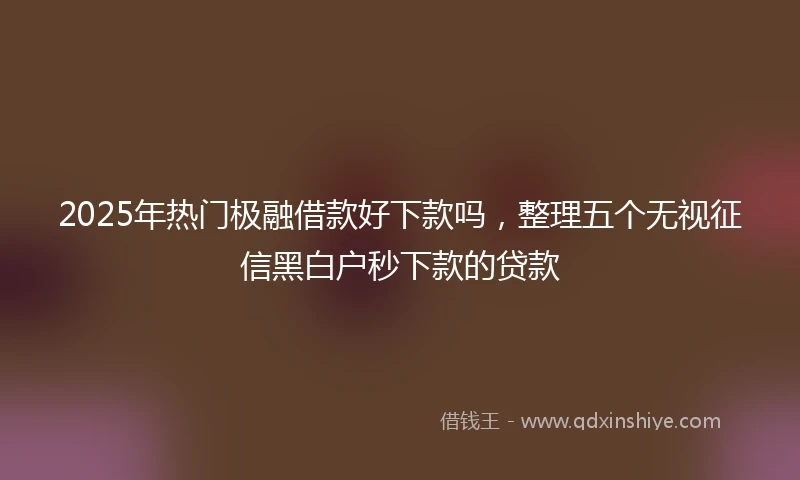 2025年热门极融借款好下款吗，整理五个无视征信黑白户秒下款的贷款