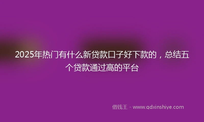 2025年热门有什么新贷款口子好下款的，总结五个贷款通过高的平台