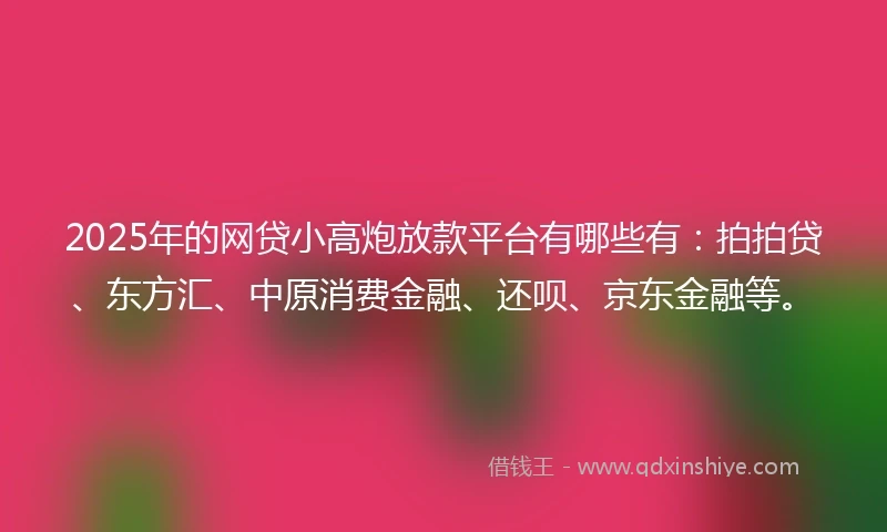 2025年的网贷小高炮放款平台有哪些有：拍拍贷、东方汇、中原消费金融、还呗、京东金融等。