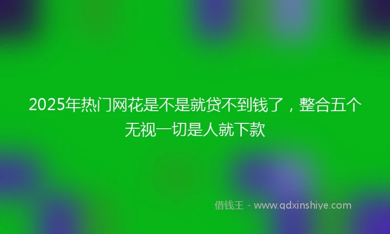 2025年热门网花是不是就贷不到钱了，整合五个无视一切是人就下款