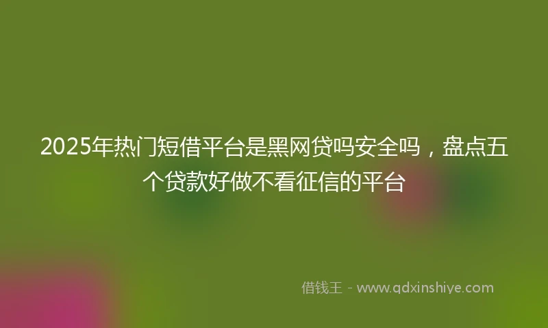 2025年热门短借平台是黑网贷吗安全吗，盘点五个贷款好做不看征信的平台