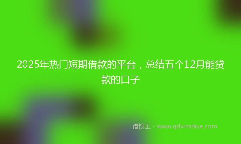 2025年热门短期借款的平台，总结五个12月能贷款的口子