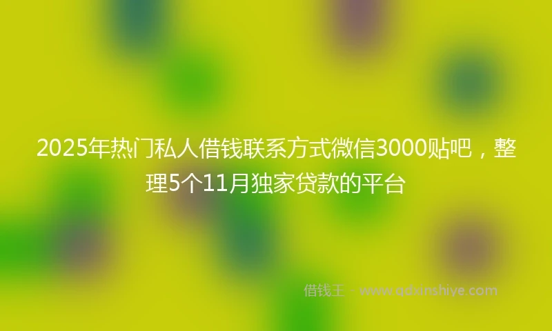 2025年热门私人借钱联系方式微信3000贴吧，整理5个11月独家贷款的平台