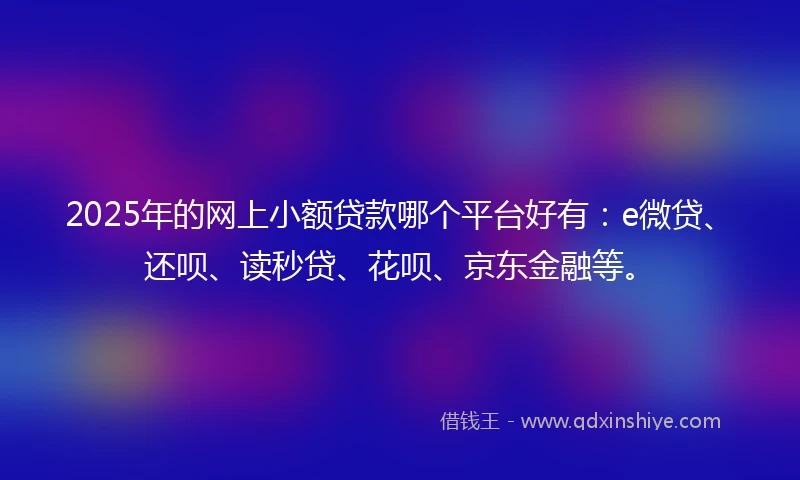 2025年的网上小额贷款哪个平台好有：e微贷、还呗、读秒贷、花呗、京东金融等。