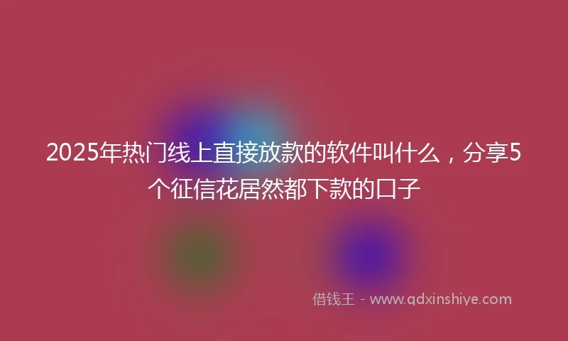 2025年热门线上直接放款的软件叫什么，分享5个征信花居然都下款的口子