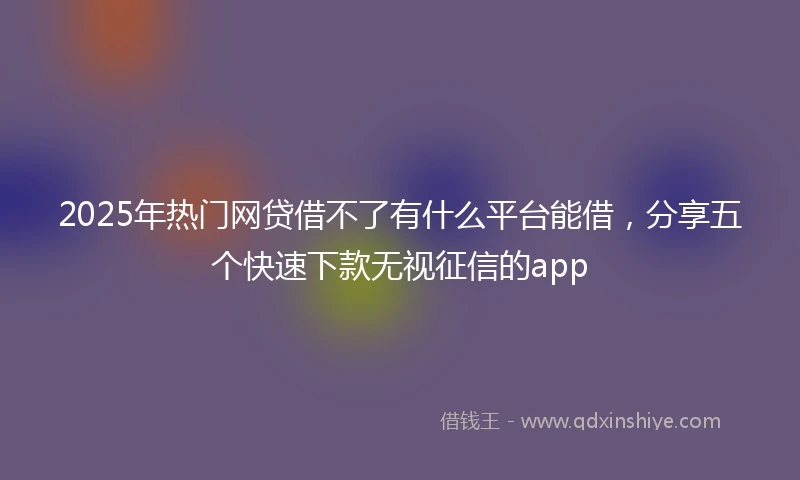 2025年热门网贷借不了有什么平台能借，分享五个快速下款无视征信的app