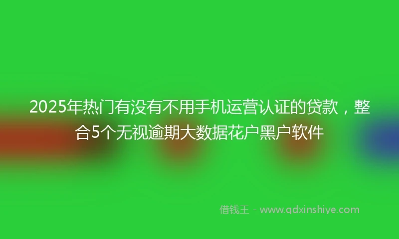 2025年热门有没有不用手机运营认证的贷款，整合5个无视逾期大数据花户黑户软件