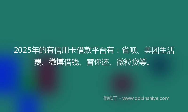 2025年的有信用卡借款平台有：省呗、美团生活费、微博借钱、替你还、微粒贷等。
