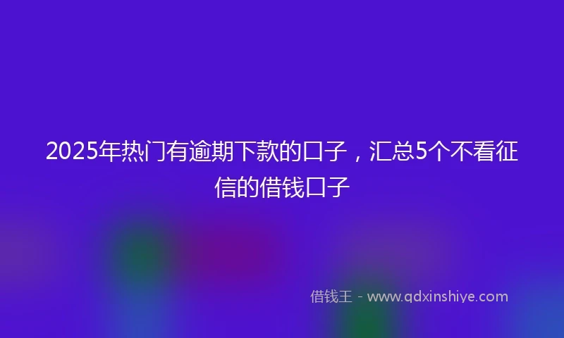 2025年热门有逾期下款的口子，汇总5个不看征信的借钱口子