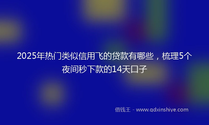 2025年热门类似信用飞的贷款有哪些，梳理5个夜间秒下款的14天口子