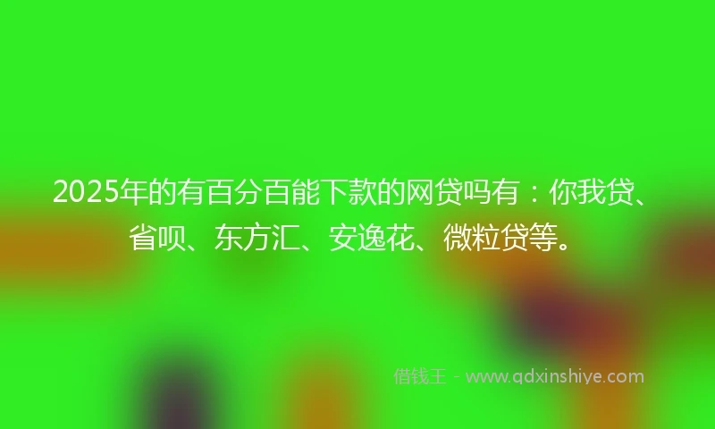 2025年的有百分百能下款的网贷吗有：你我贷、省呗、东方汇、安逸花、微粒贷等。