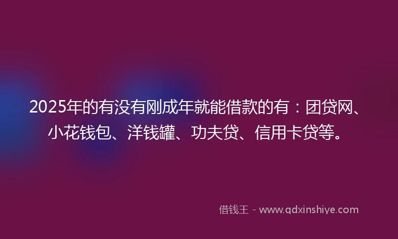 2025年的有没有刚成年就能借款的有：团贷网、小花钱包、洋钱罐、功夫贷、信用卡贷等。