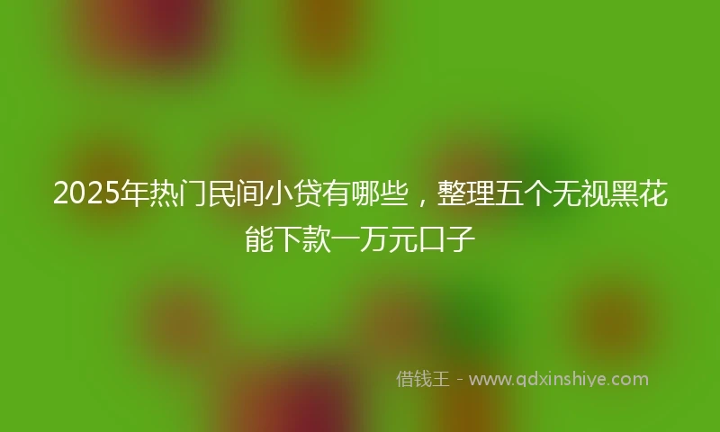 2025年热门民间小贷有哪些，整理五个无视黑花能下款一万元口子