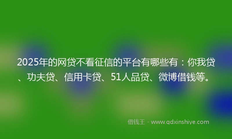 2025年的网贷不看征信的平台有哪些有：你我贷、功夫贷、信用卡贷、51人品贷、微博借钱等。