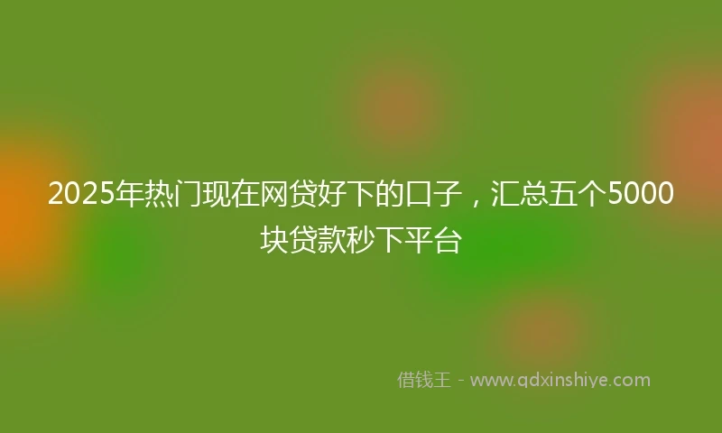 2025年热门现在网贷好下的口子，汇总五个5000块贷款秒下平台