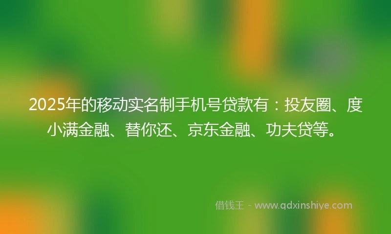 2025年的移动实名制手机号贷款有：投友圈、度小满金融、替你还、京东金融、功夫贷等。