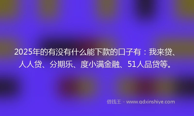 2025年的有没有什么能下款的口子有：我来贷、人人贷、分期乐、度小满金融、51人品贷等。