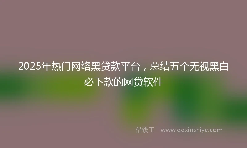 2025年热门网络黑贷款平台，总结五个无视黑白必下款的网贷软件