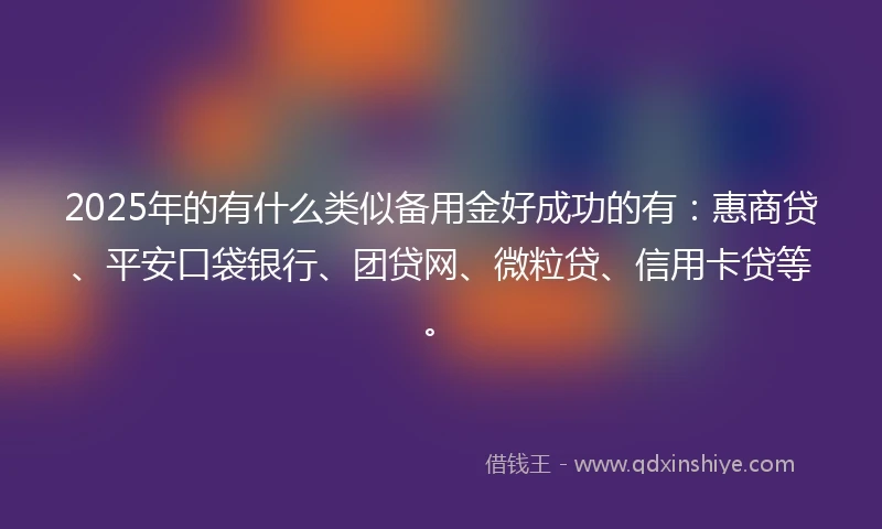 2025年的有什么类似备用金好成功的有：惠商贷、平安口袋银行、团贷网、微粒贷、信用卡贷等。